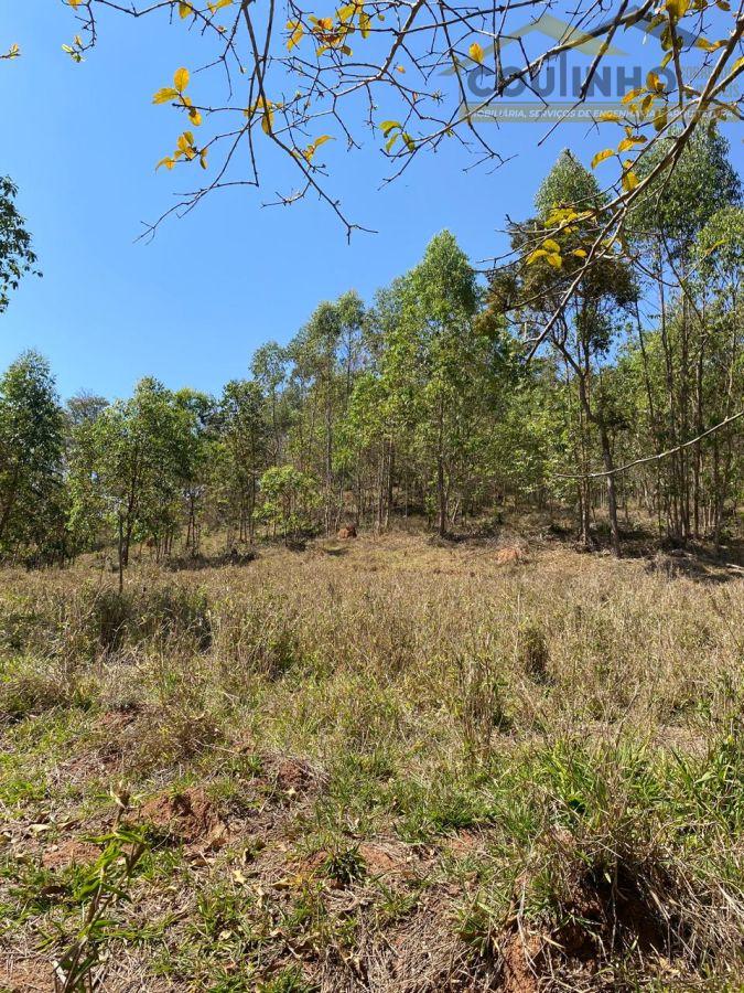 WhatsApp Image 2025-09-12 at 11.33.23 (5).jpeg